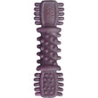 10 FOR $10: Absolute Holistic Boost Blueberry Grain-Free Dental Dog Chew 25g