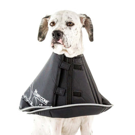 Comfy Cone Cat & Dog E-Collar - Kohepets