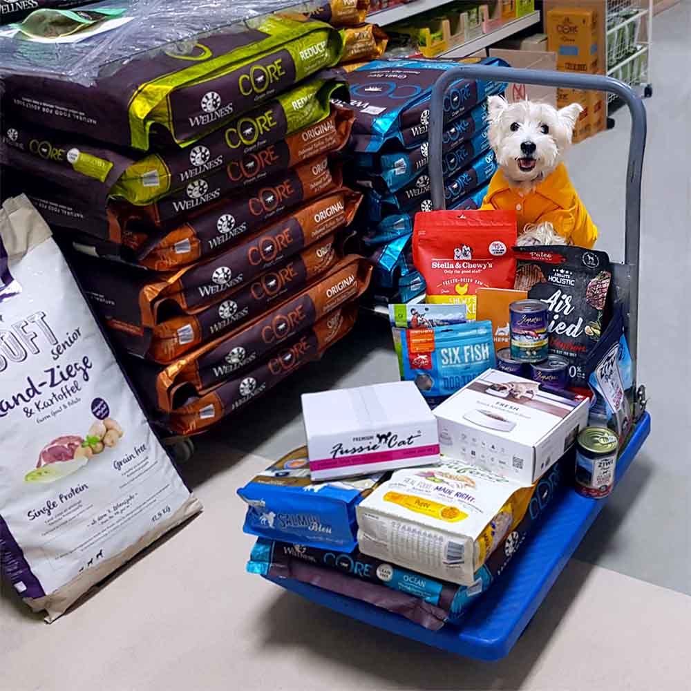 Singapore’s Most Trusted Online Pet Store