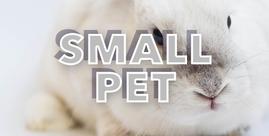 Small Pet