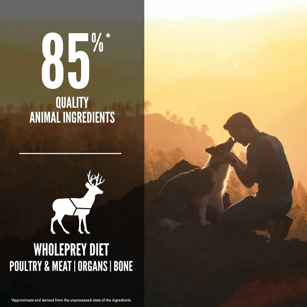 ORIJEN Tundra Grain-Free Dry Dog Food - Kohepets