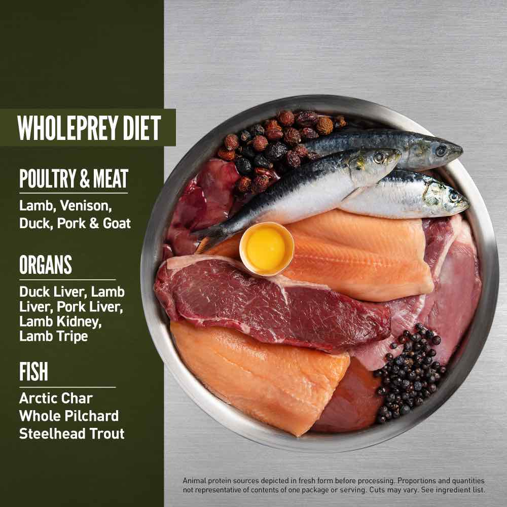 ORIJEN Tundra Grain-Free Dry Dog Food - Kohepets
