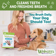 $12 OFF: Whimzees Variety Value Box Small Grain-Free Dental Dog Treats 56pc - Kohepets